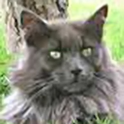 Azrael Earl of Moose Point