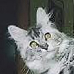 Big Giants Resort Safira