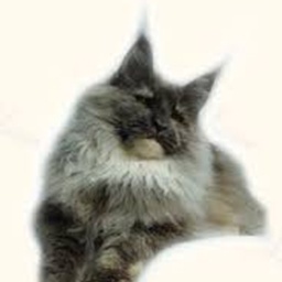 Big Giants Resort's Flamenco