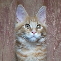 Diamond Paradise Izumrud