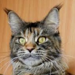 Country Gulliver's Skazka