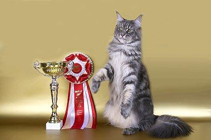 Love Hulen's Nirvana - мейн-кун