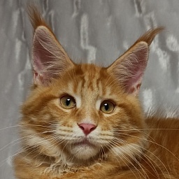 Diamond Paradise Olaf