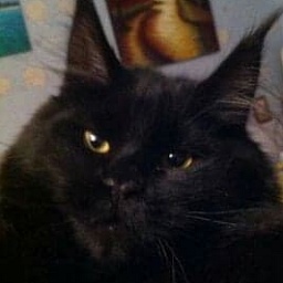 Force of Life Germiona