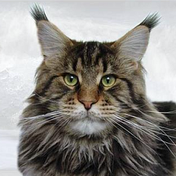 Pillowtalk's Xtro Energy